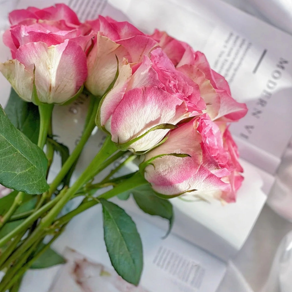 Malibu Rose