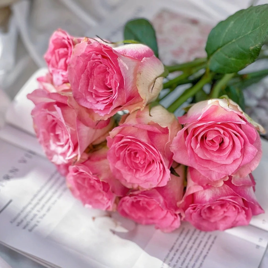 Malibu Rose