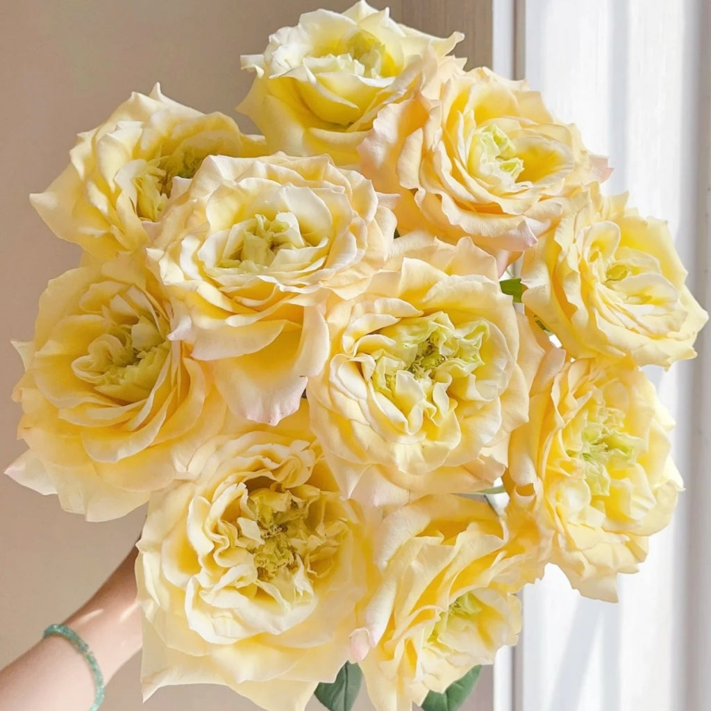 Mango Pomelo Sago Rose