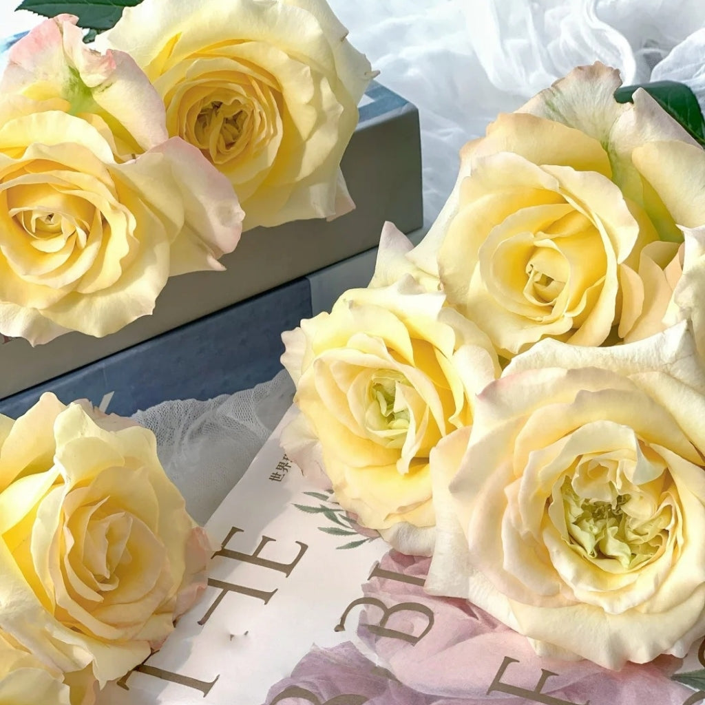 Mango Pomelo Sago Rose