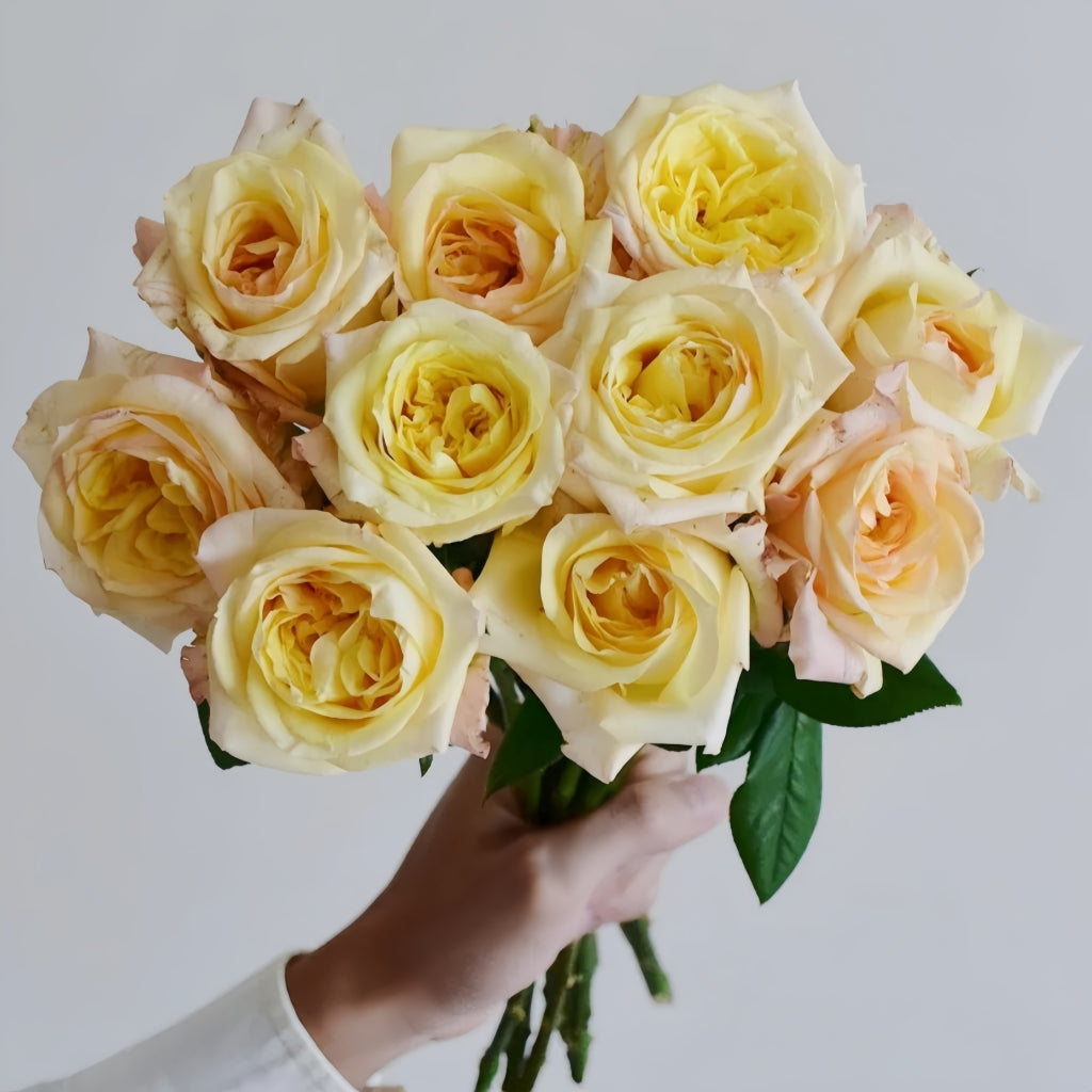 Mango Pomelo Sago Rose