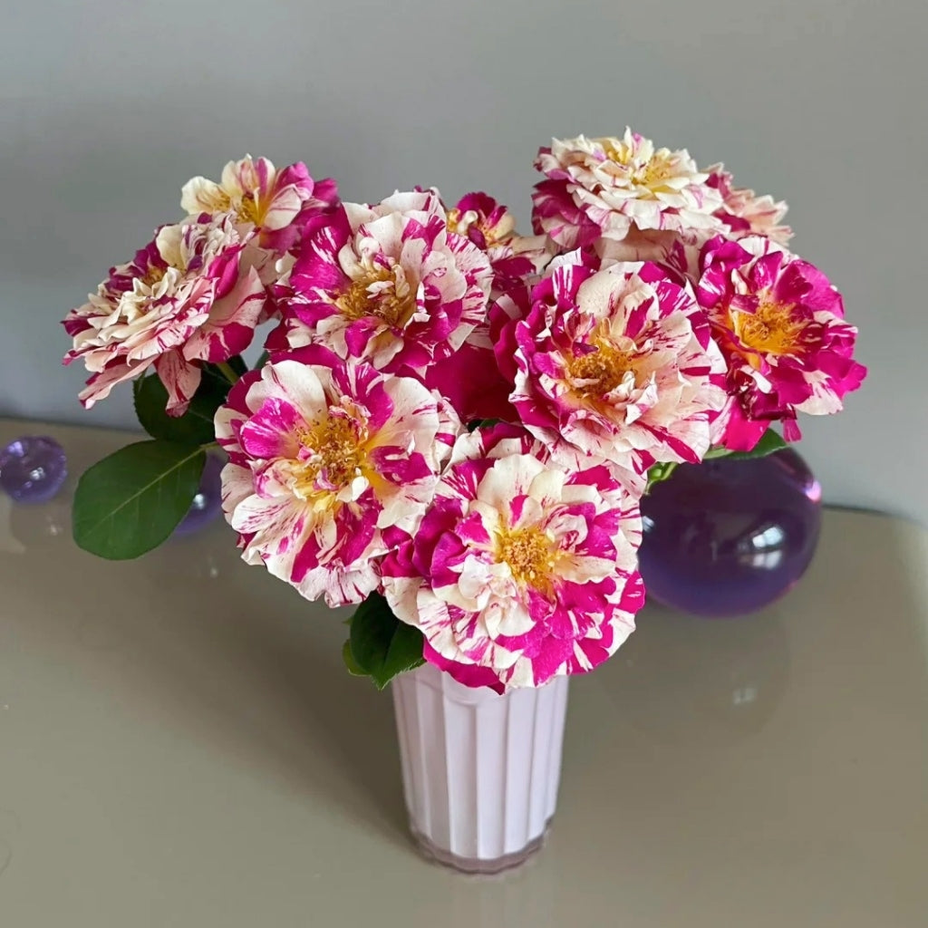 Maurice Utrillo Rose