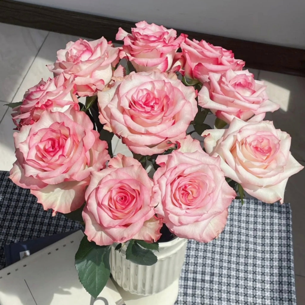 Medusa Rose