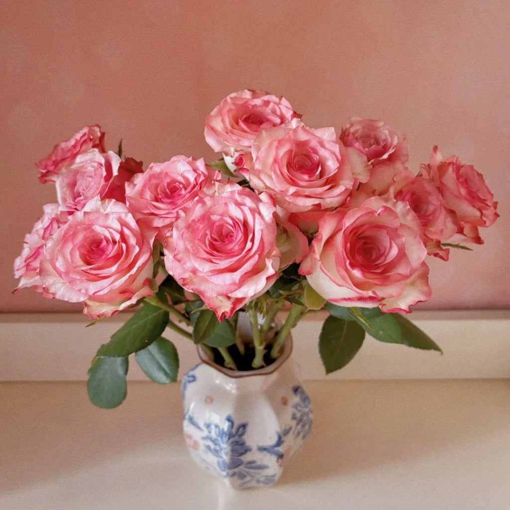 Medusa Rose