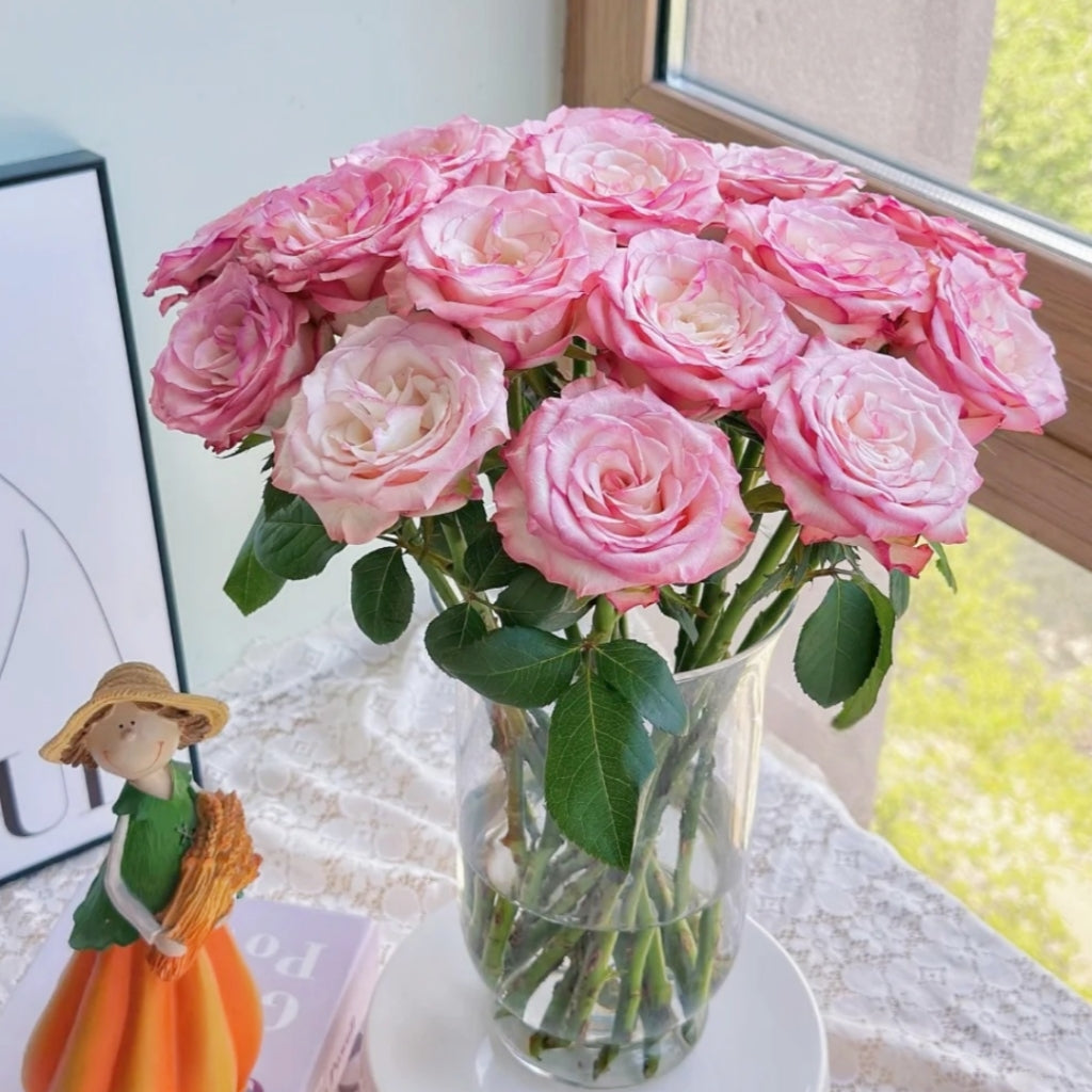 Medusa Rose