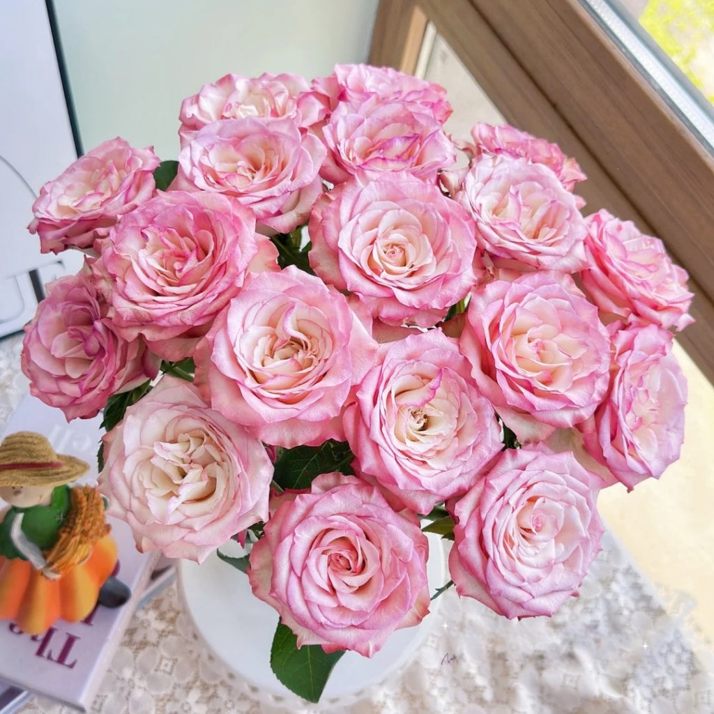 Medusa Rose
