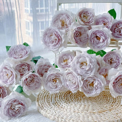 Milky Pearl Rose