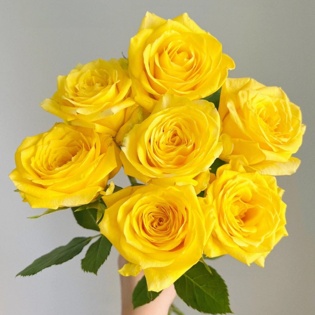 Moonwalk Rose