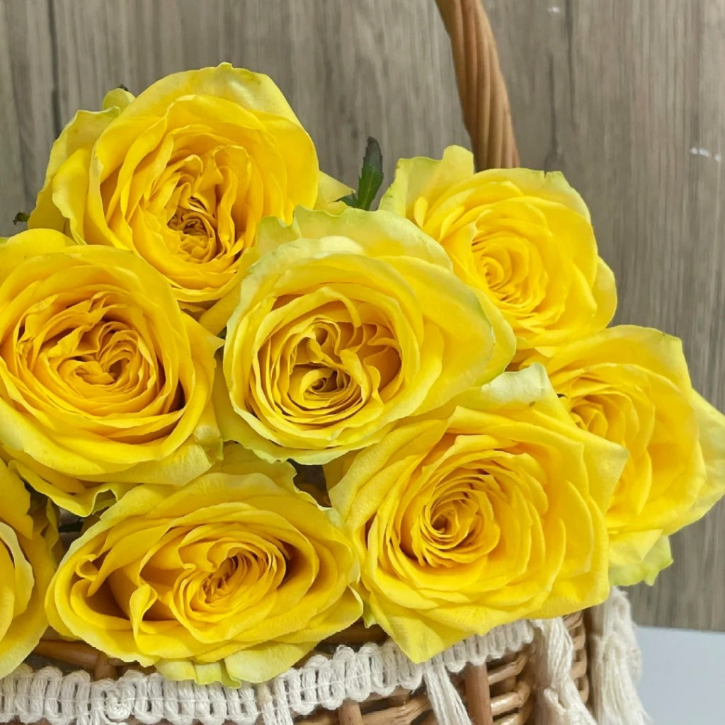Moonwalk Rose