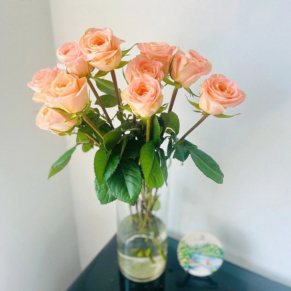 Nuwa Rose