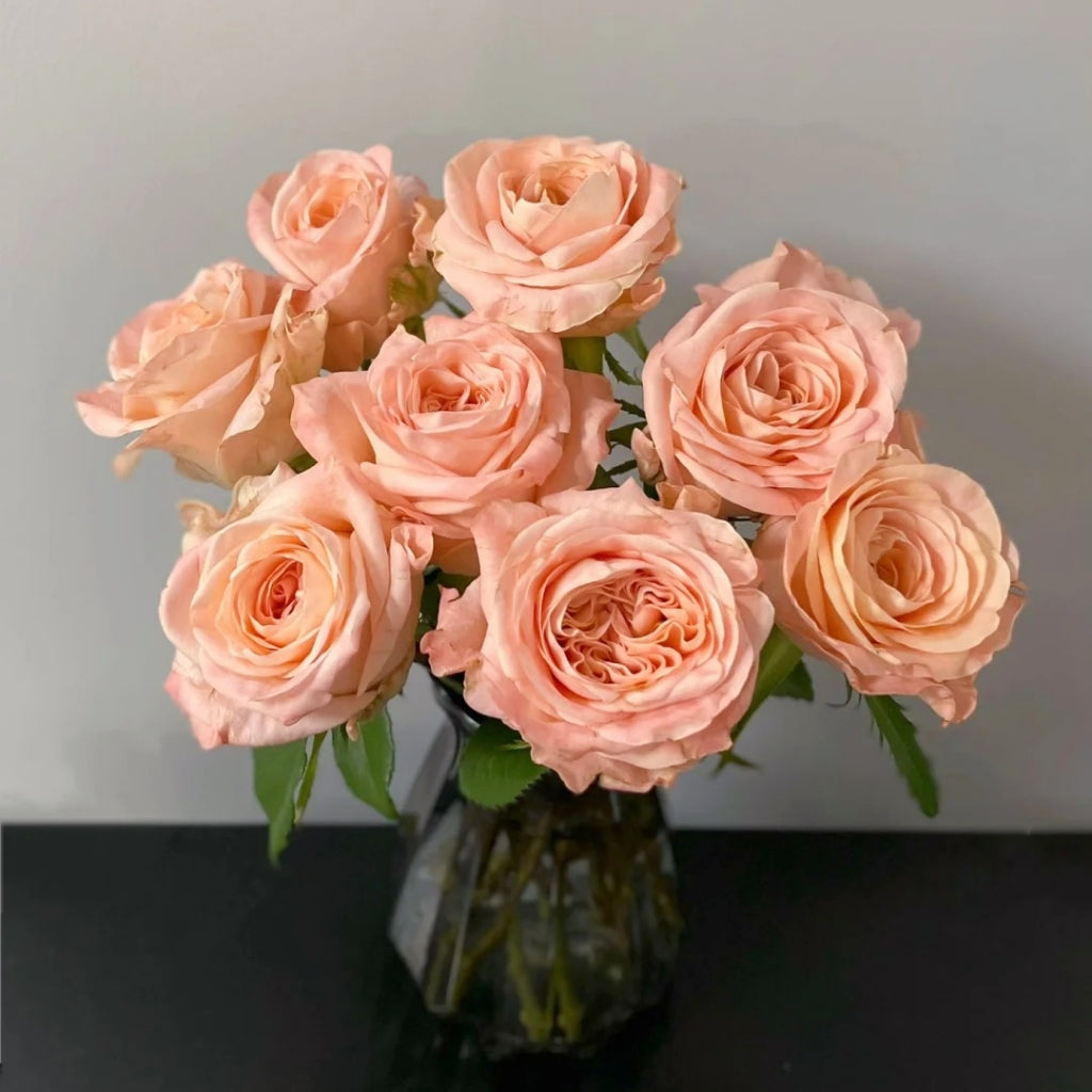 Nuwa Rose