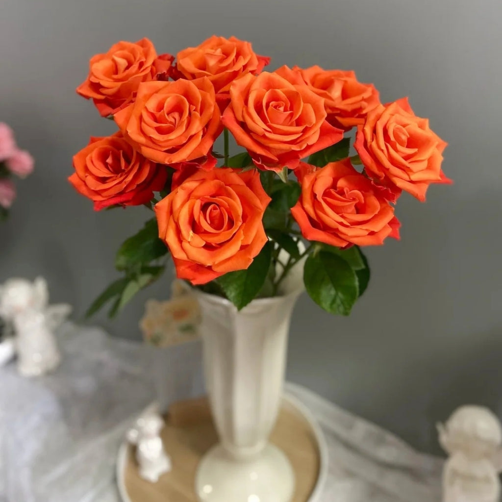Orange Party Rose