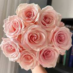 Peach Flavor Rose