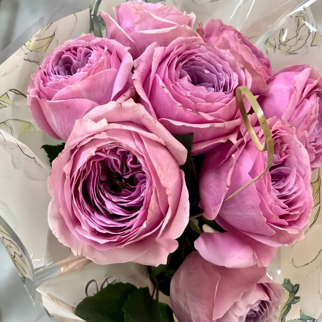 Peonikiss Rose