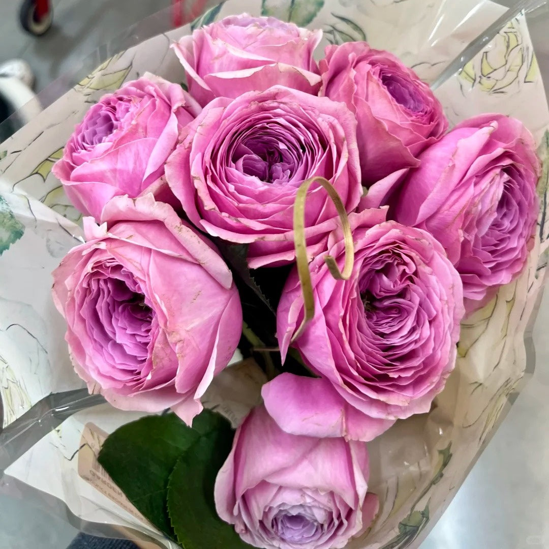 Peonikiss Rose