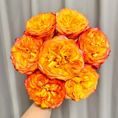 Phoenix Hairpin Rose