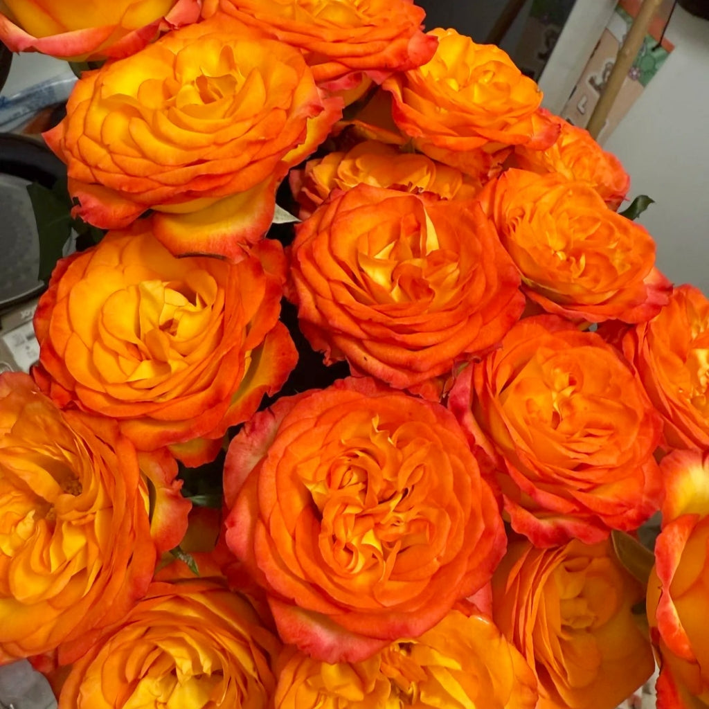 Phoenix Hairpin Rose