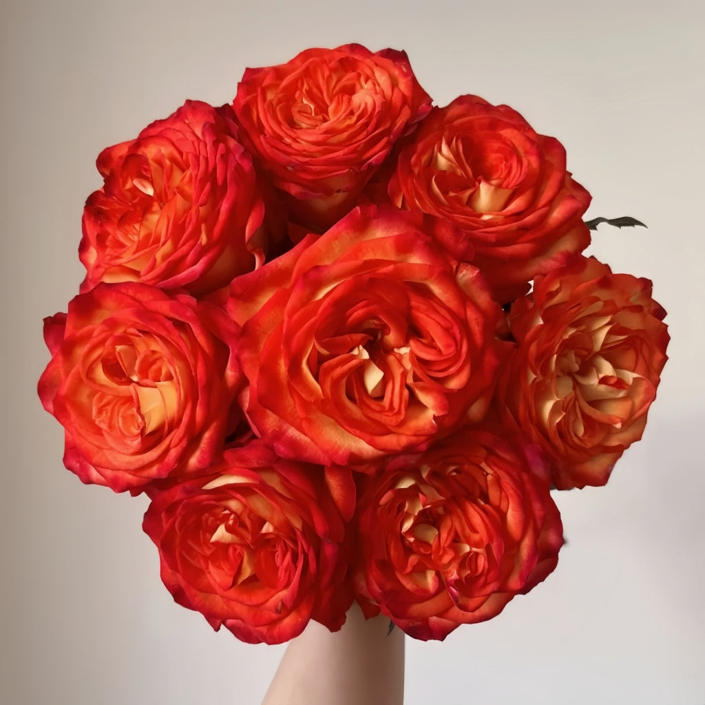 Phoenix Hairpin Rose