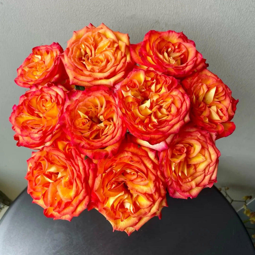 Phoenix Hairpin Rose