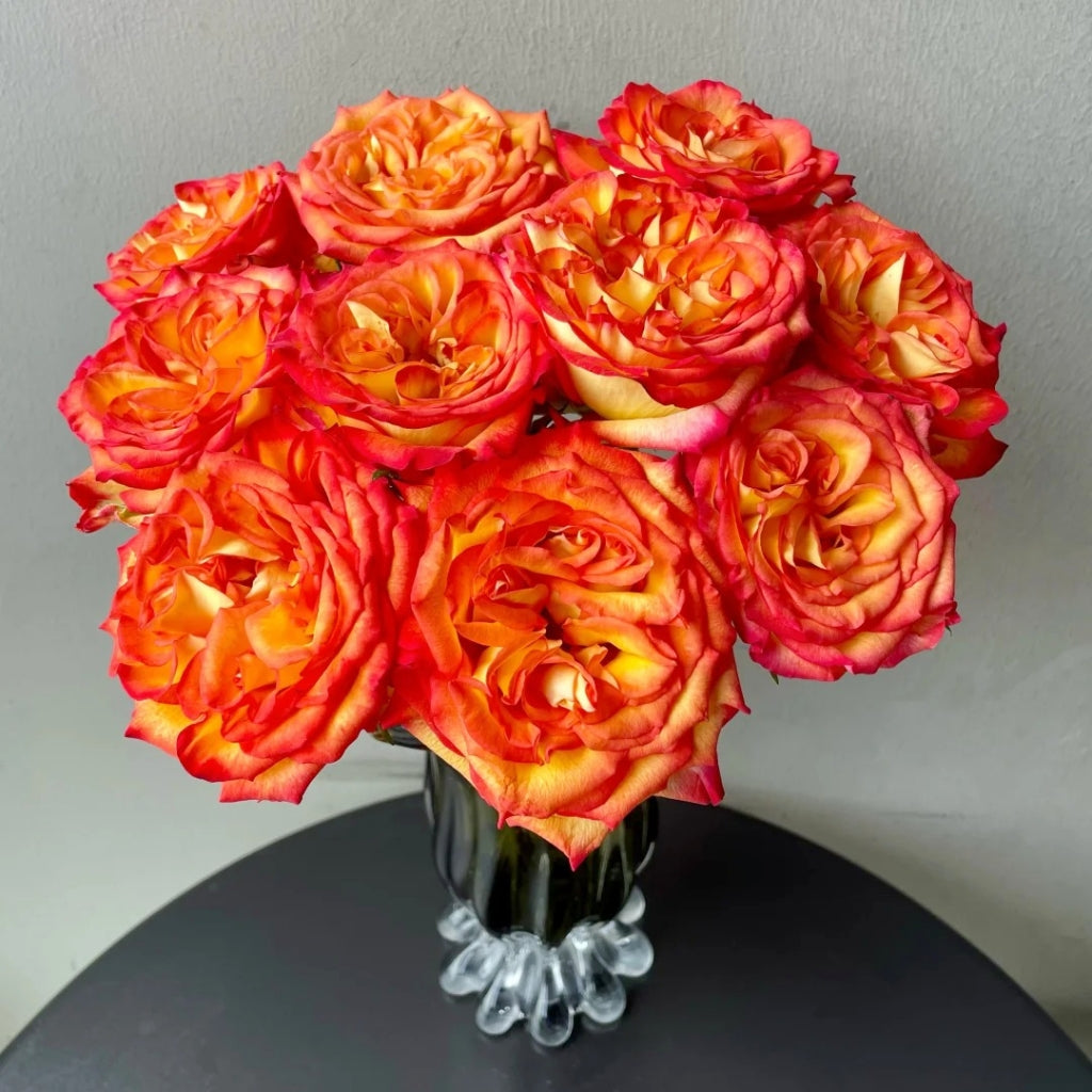 Phoenix Hairpin Rose