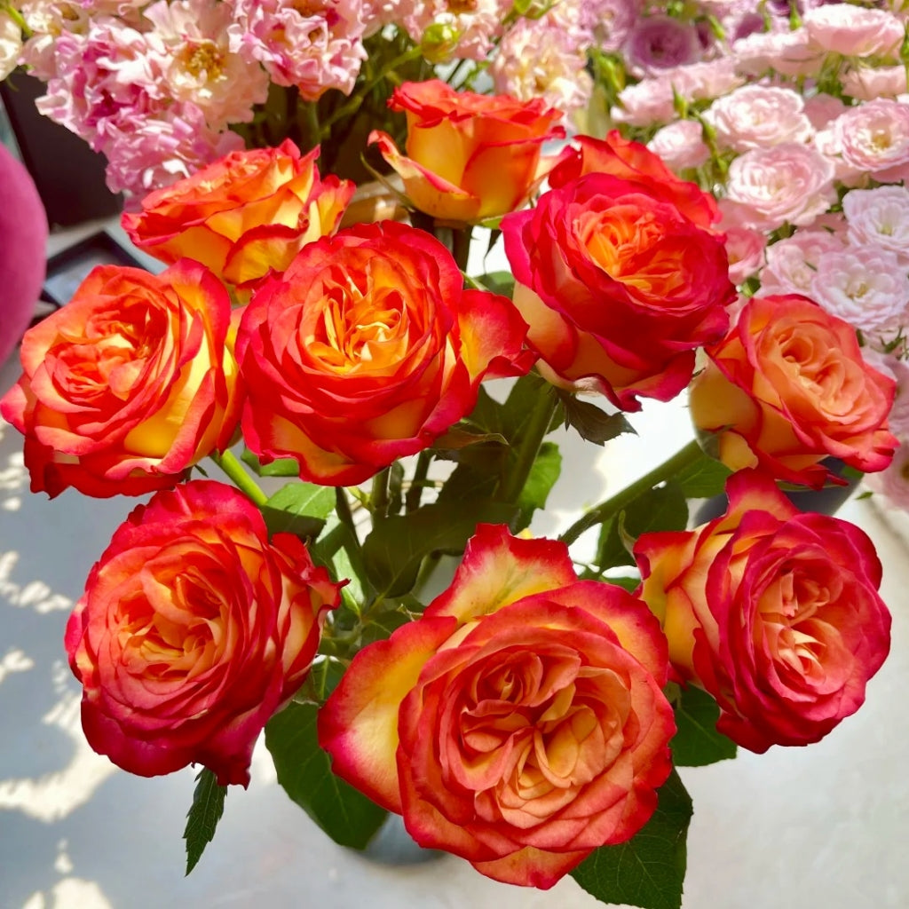 Phoenix Hairpin Rose