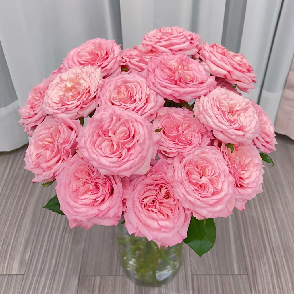 Pink Yan Rose