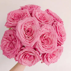 Pink Yan Rose