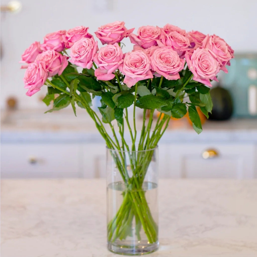 Pink Yan Rose