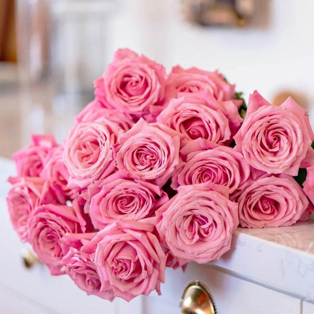 Pink Yan Rose