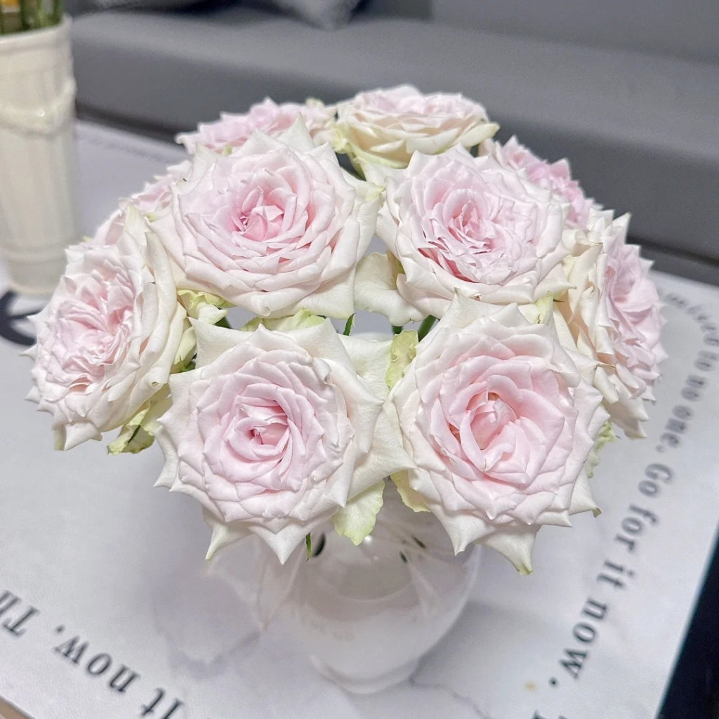 Pomelo Rose