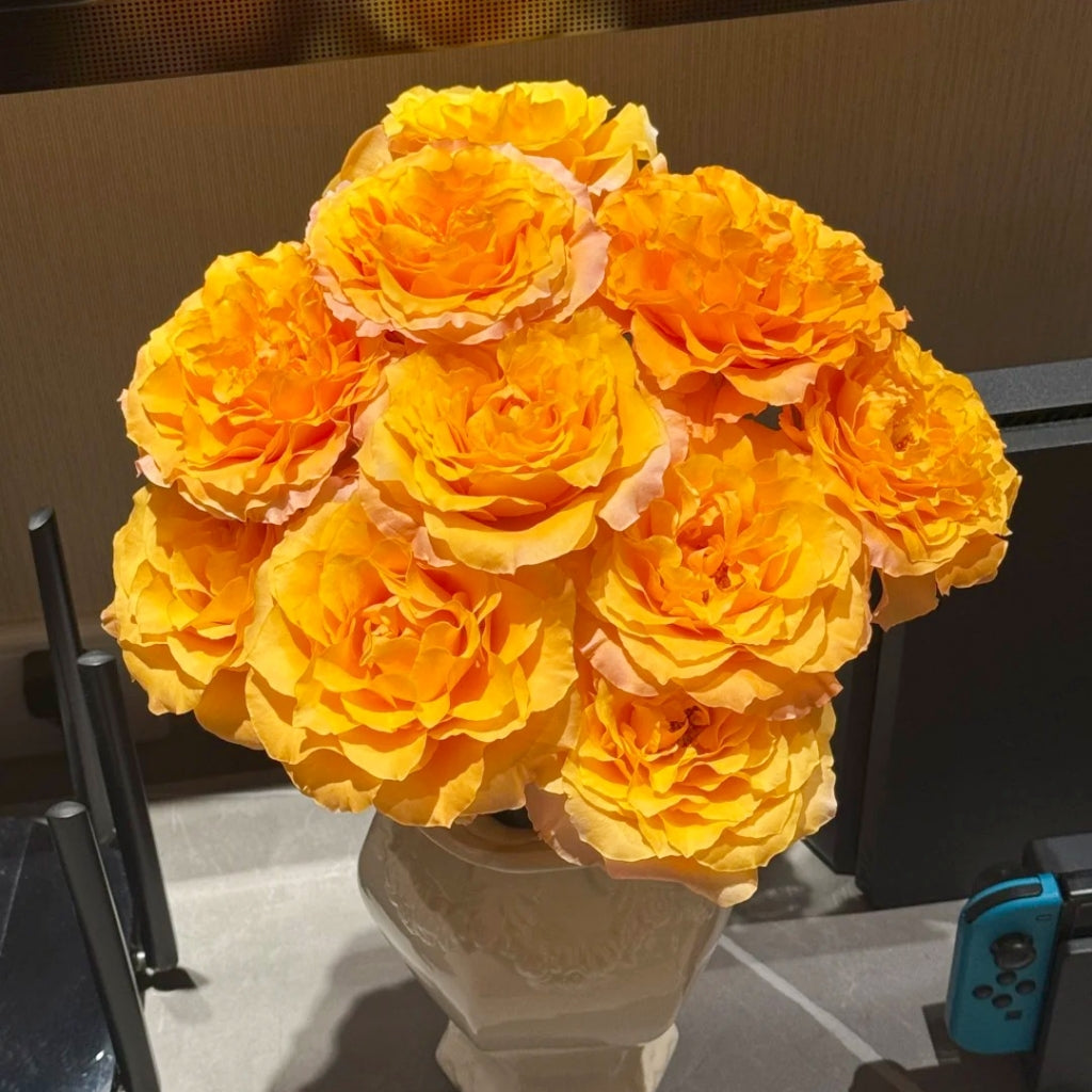 Poxiao Rose