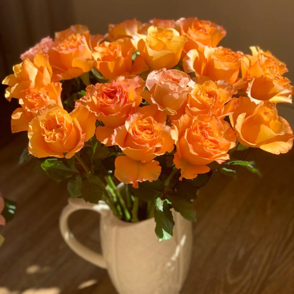 Poxiao Rose