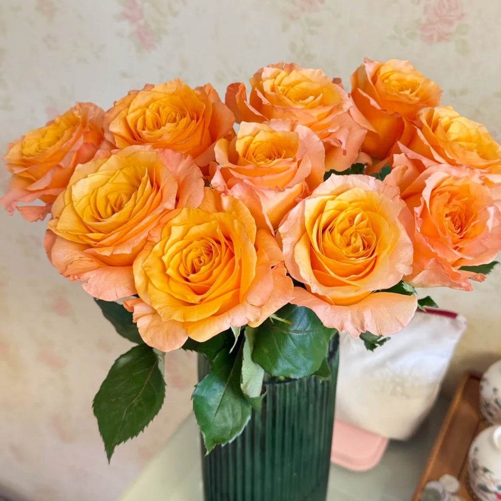 Poxiao Rose