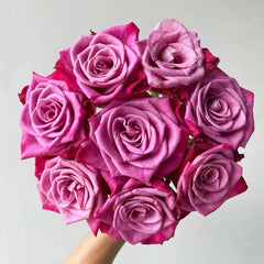 Purple Serenade Rose