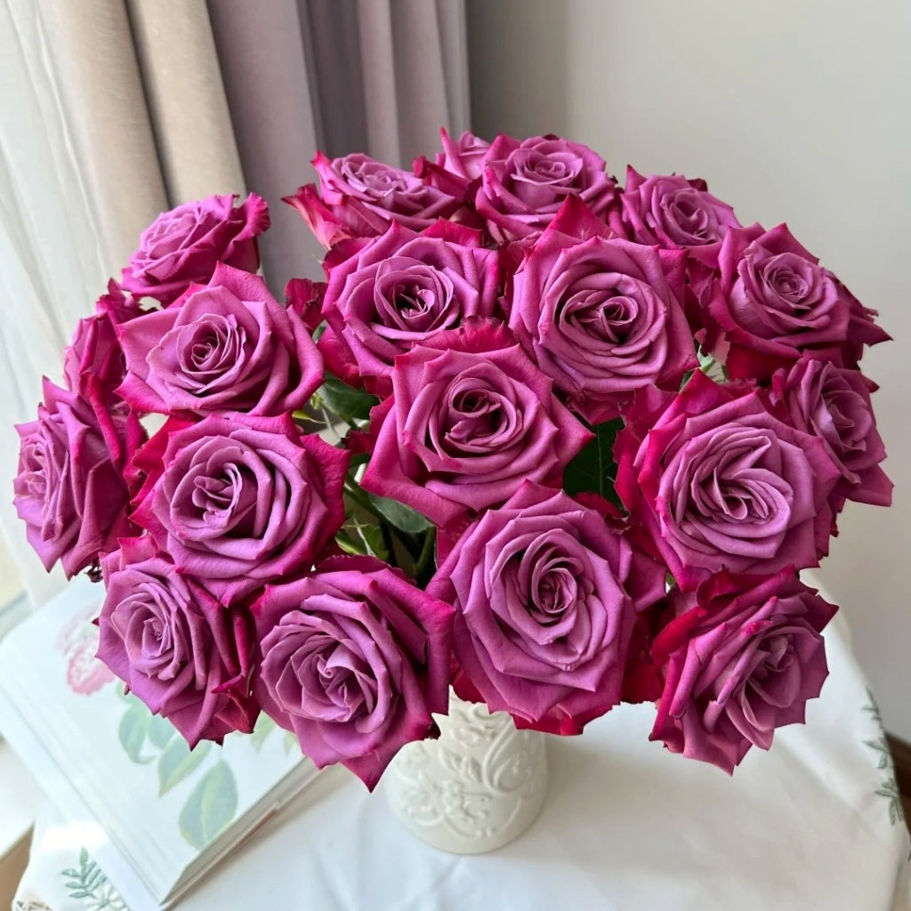 Purple Serenade Rose