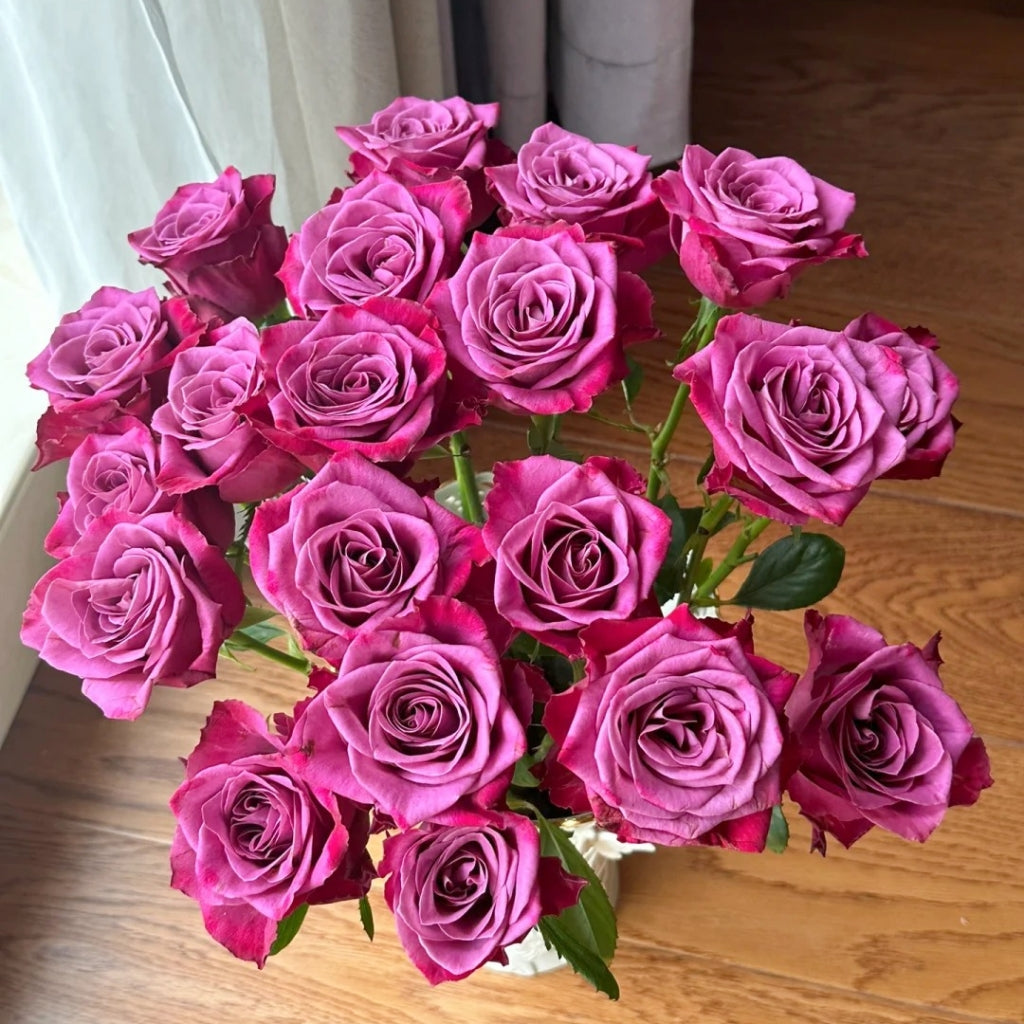 Purple Serenade Rose