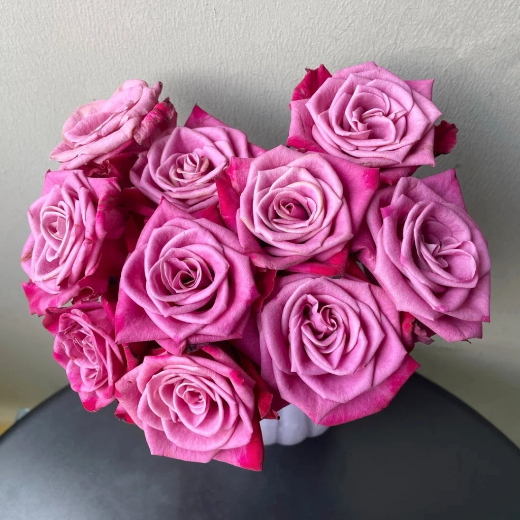 Purple Serenade Rose