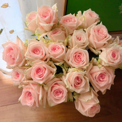 Qiaochu Rose