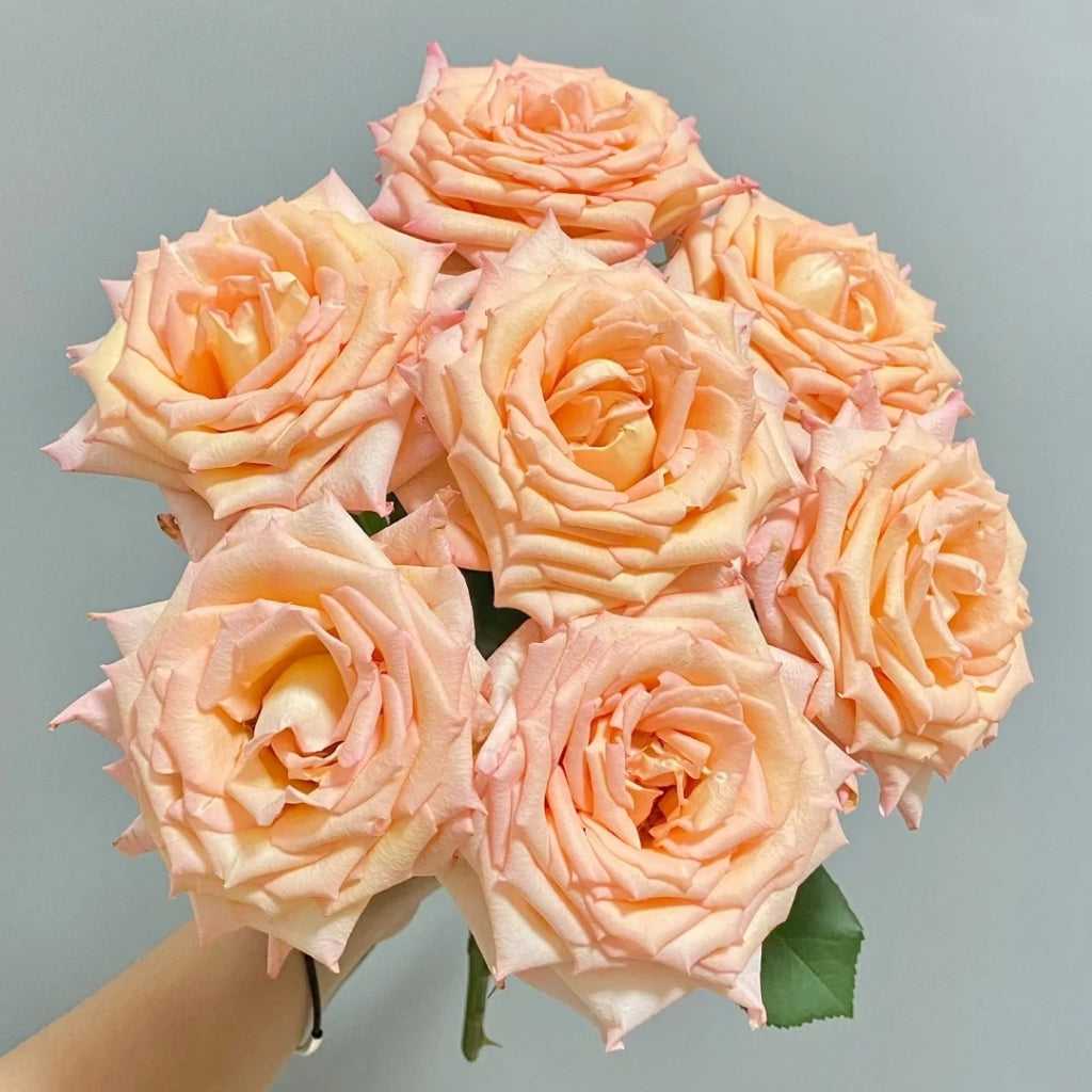 Qiumu Rose
