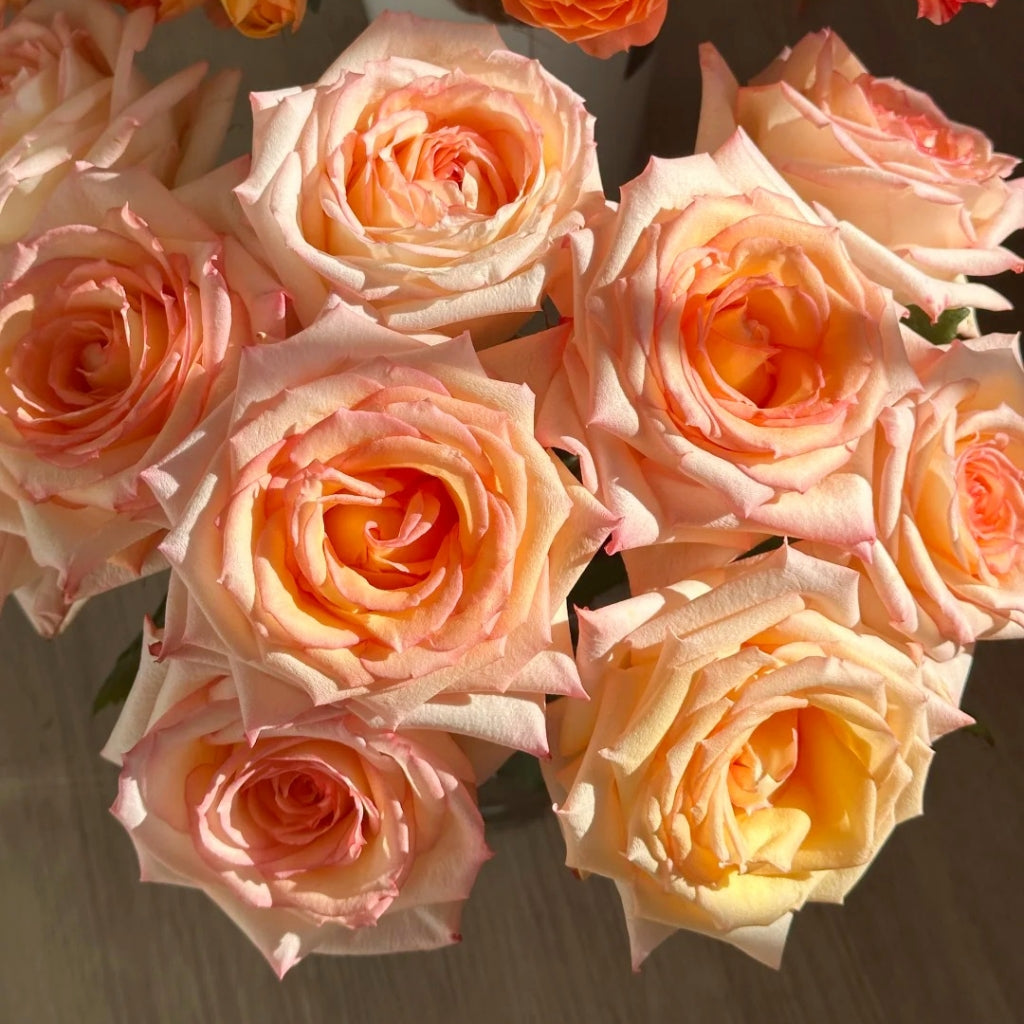 Qiumu Rose