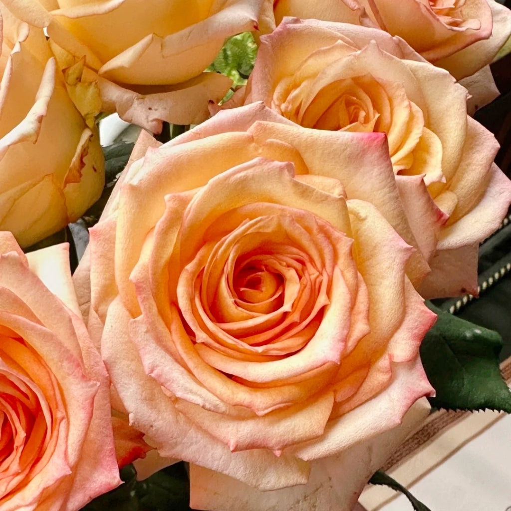 Qiumu Rose