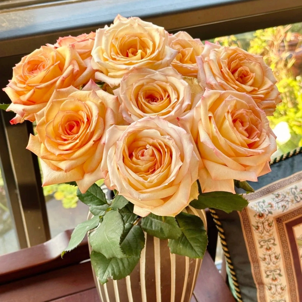 Qiumu Rose