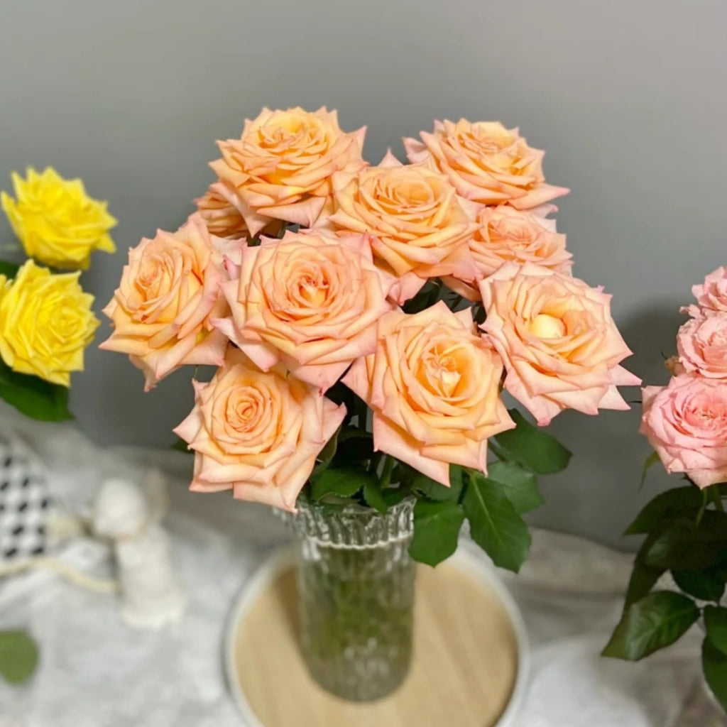 Qiumu Rose