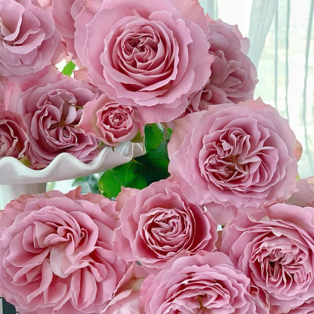 Qiuzi Rose