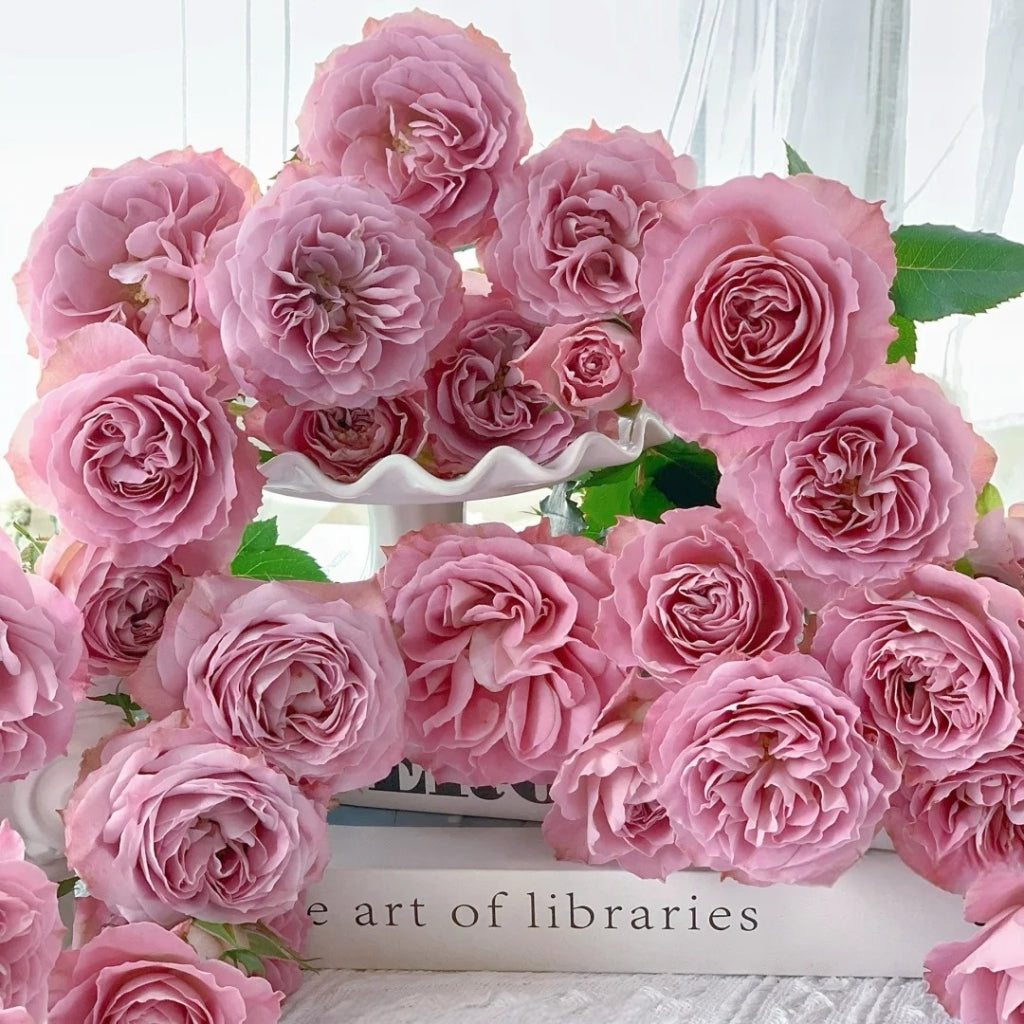 Qiuzi Rose