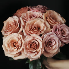 RP Moab Rose
