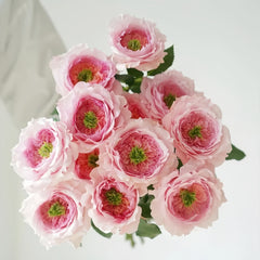 Serendipity Rose