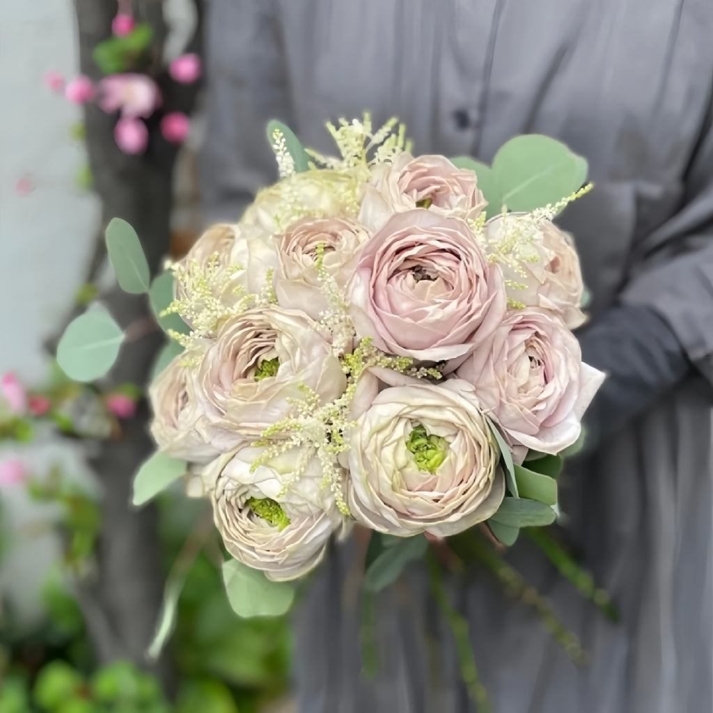 Shelvers Rose