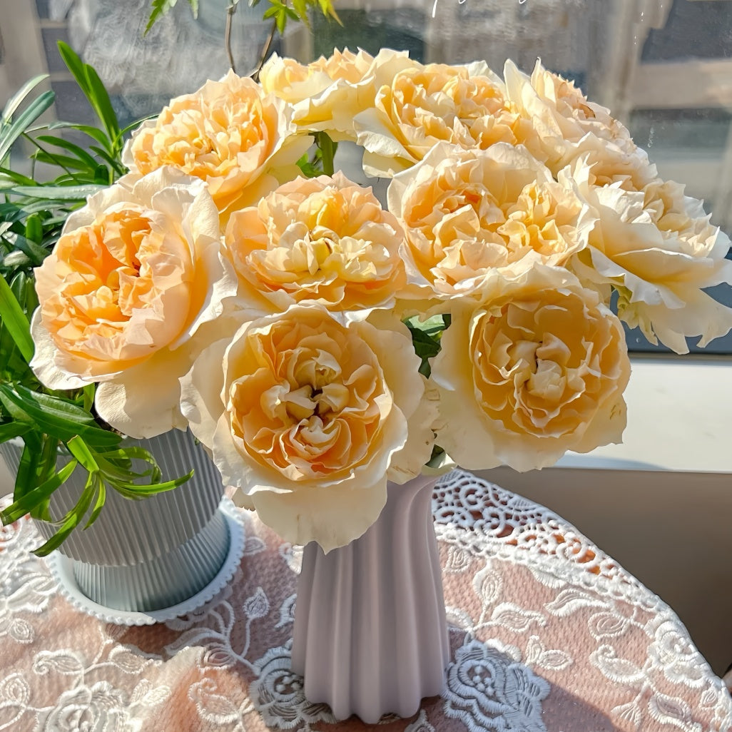 Shreuk Rose