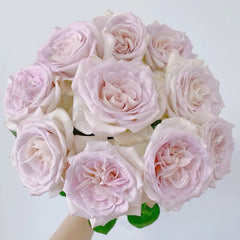 Silver Gemstone Rose